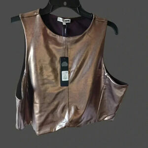 Fashion Nova rosalia metallic top size 3XLarge rose gold color